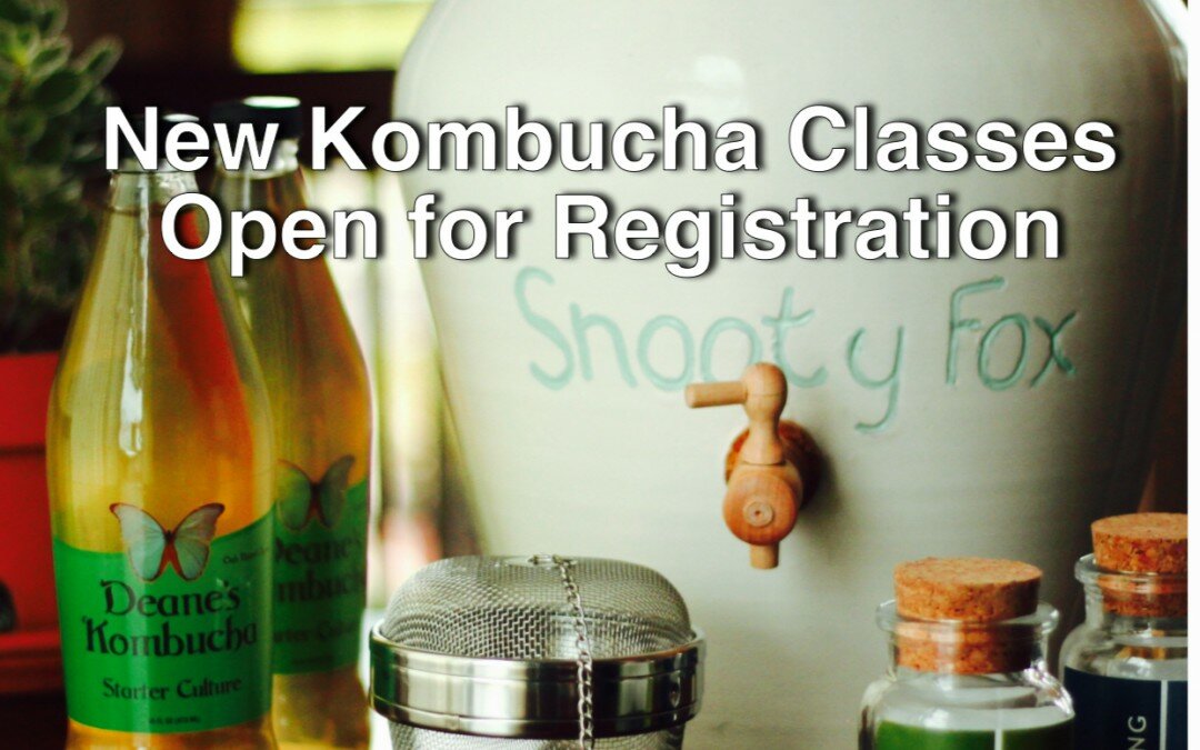 Kombucha Classes: April 23 & June 25